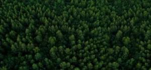 Main-Banner-Image